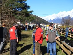 2019_ausstellung polling_067